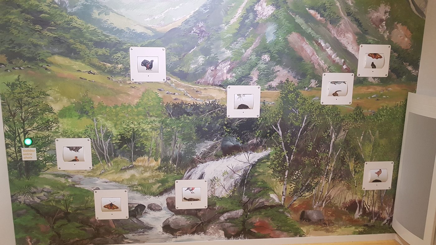 Jeu rouleau environnement — Musée d'Orlu